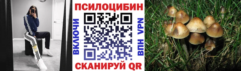 Псилоцибиновые грибы Cubensis  Ивангород 