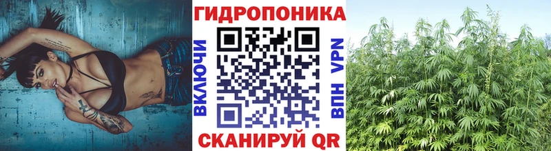 Каннабис гибрид  Ивангород 